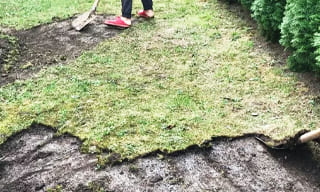 Снятие дерна старого газона в соколе – от 527 руб. | 2Землекопа-Скл